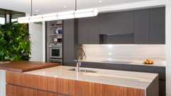 biophilic design in a modern cincinnati kitchen